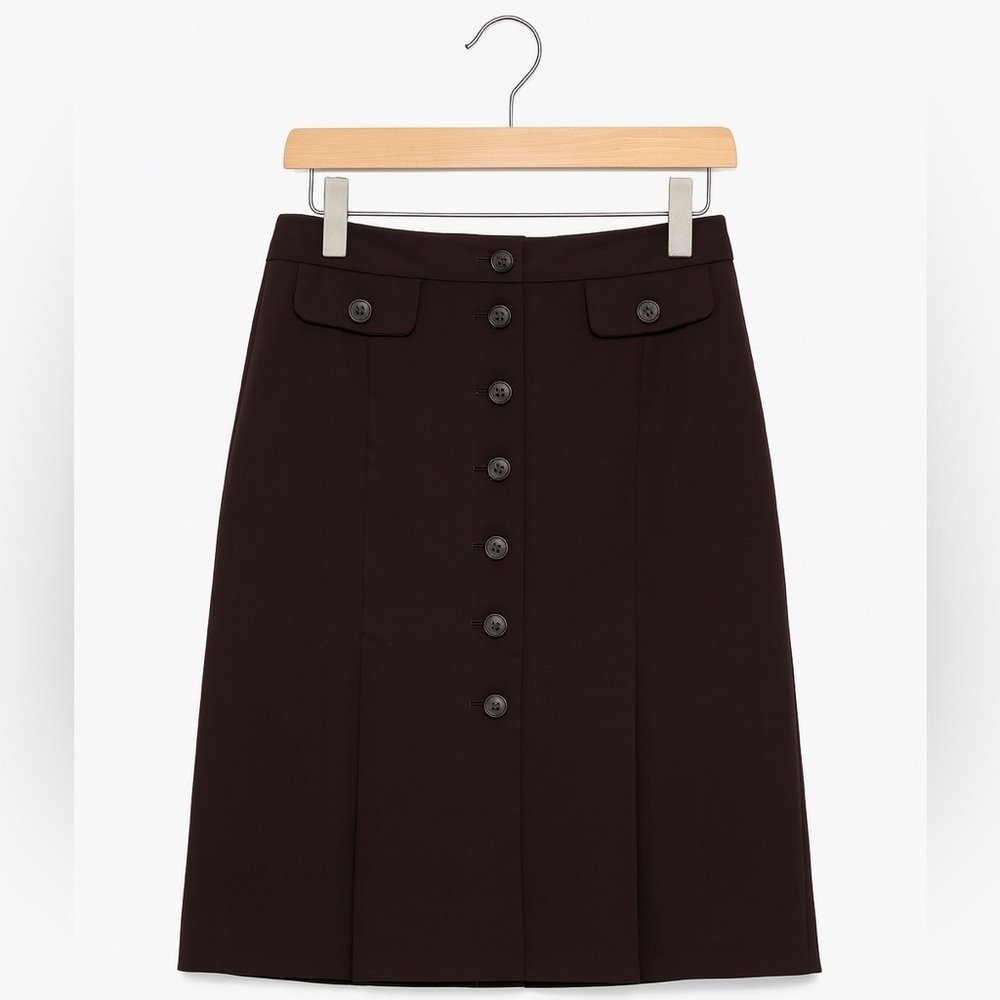 Ann Taylor Loft Women’s Size 2 Brown Button Front Pleated Lined Skirt. - Picture 1 of 2